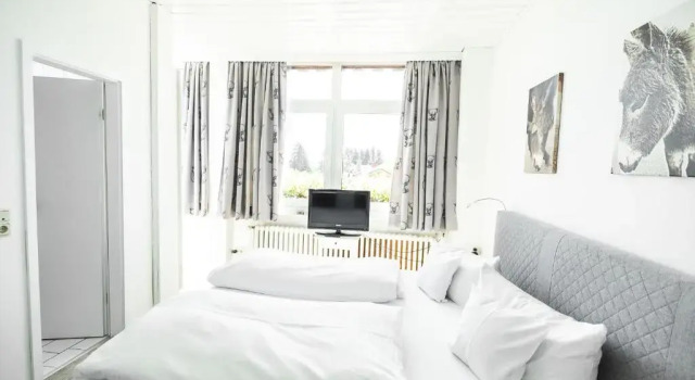 Двухместный номер Standard Landhotel Villa Foresta Braunlage