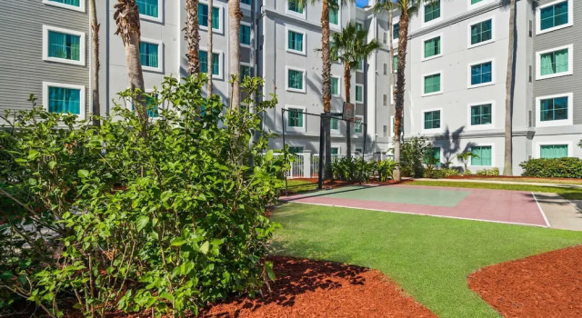 Free Shuttle 2 Queen Disney Area, Varaa Hotelli Orlando Kissimmee