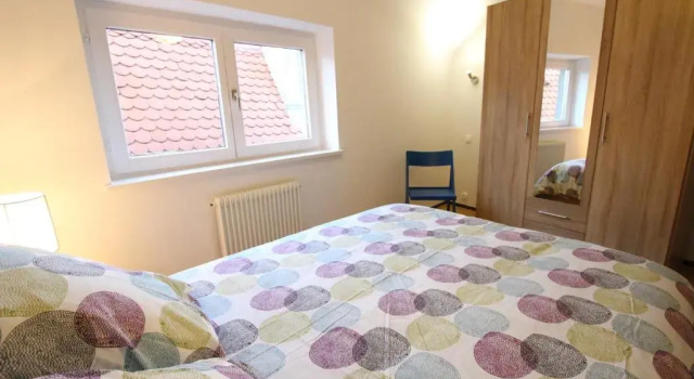 Colmar Historic Center - Cosy Appartement Turenne 1 - Bookingalsace