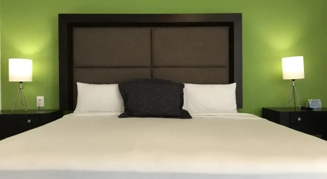 Номер Hotel Green 16