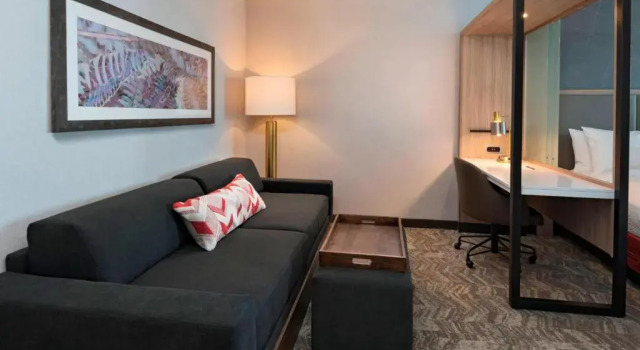 Люкс SpringHill Suites by Marriott Denver West/Golden