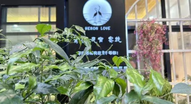 Fuxian Lake Lulian B&B, Prenota Bed & breakfast Hotel a Yunnan con parcheggio, Parcheggio