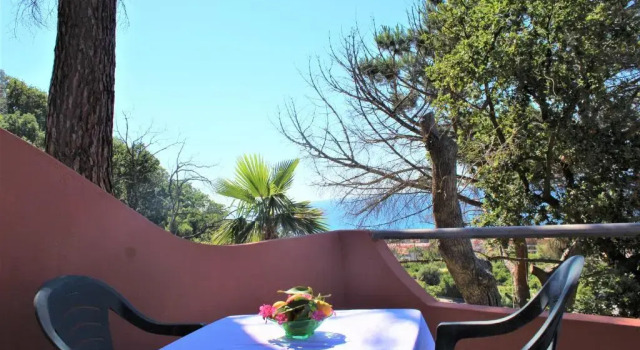 Номер Economy Hotel Calysea Tropea