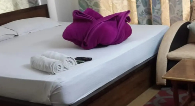 Номер Luxury Green Wood Hotel