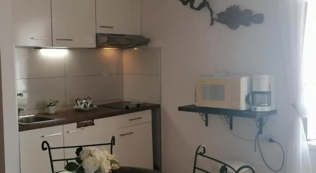 Студия Studio apartman u renesansnoj vili