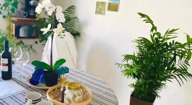 LSJade Apartment