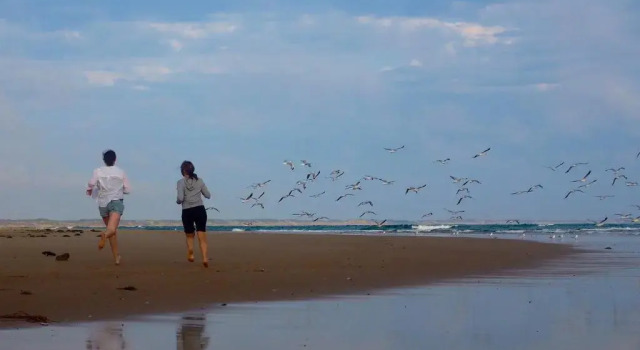 Alice's Palace, 2-minute walk to lifeguard patrolled surf beach, Buchen Sie Hotel Ocean Grove Bellarine Peninsula