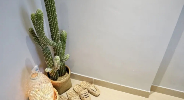Номер Deluxe Kactus Hotel
