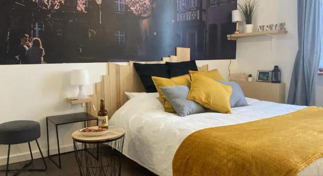 * Le Garden * Studio * Centre-ville Mulhouse, Book Hotel Mulhouse 