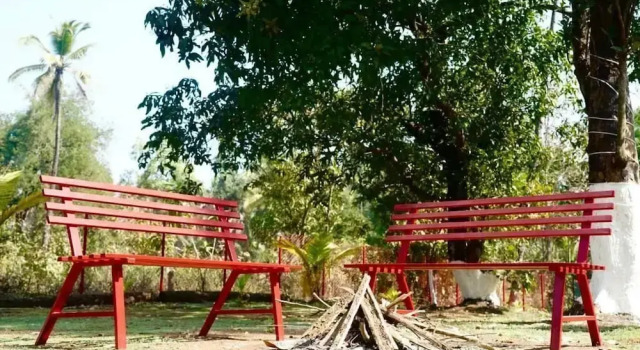 Disa Vila