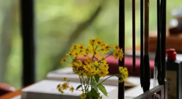 Mount Qingcheng Three Cats  Forest Spa Homestay
