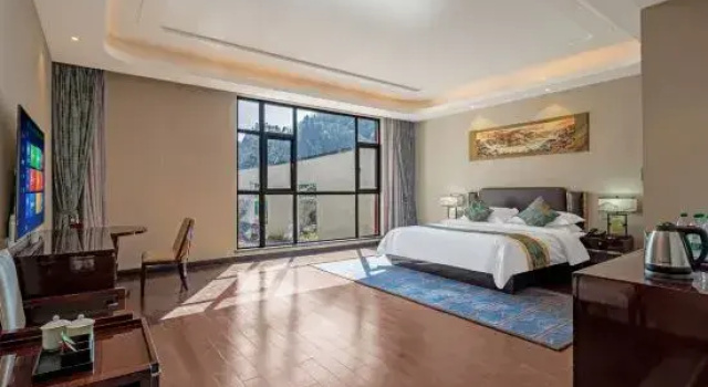 Люкс Arcadia International Forest Hotel