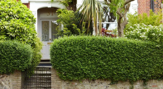 Mountview Guesthouse