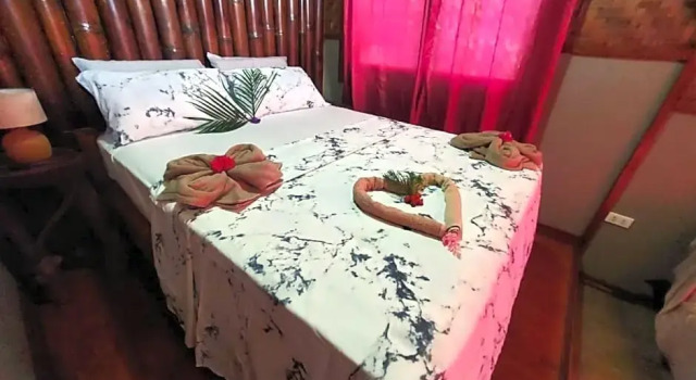 Jungle of peace, Забронировать Отель Отели Сан-Хуан 3 звезды, 3*