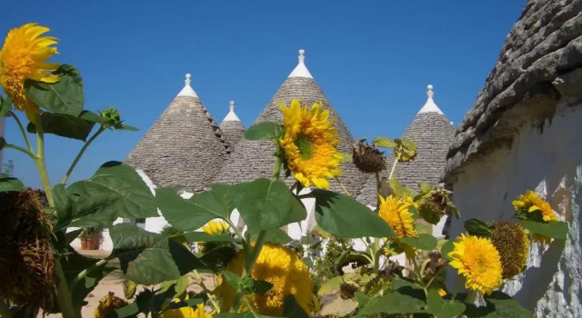 Апартаменты c 1 комнатой Masseria Pozzo Tre Pile