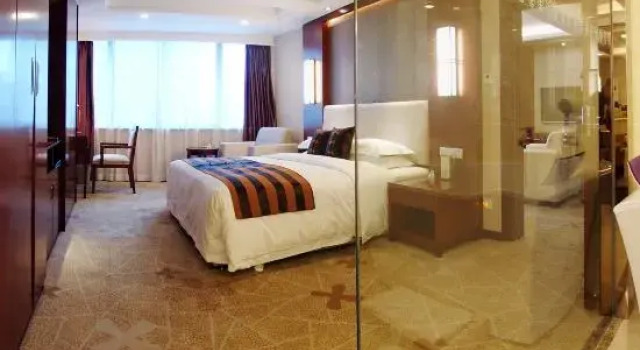 Люкс Business Wanyou Conifer Hotel