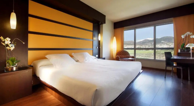Двухместный номер Hotel Abades Nevada Palace