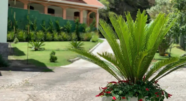 Номер Deluxe Pousada Vila Floratta by Concavus
