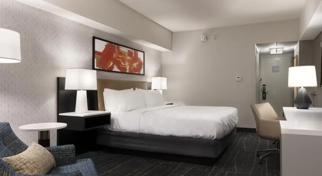 Двухместный номер Standard с красивым видом из окна Holiday Inn - Chicago Dwtn - The Mart by IHG