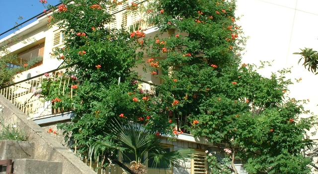 Apartment Ivo A3-Vilma Crikvenica, Riviera Crikvenica