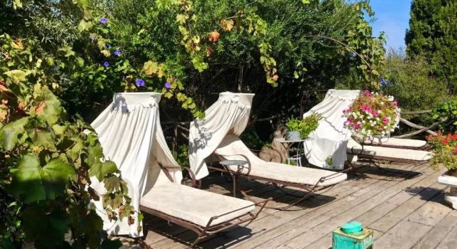 Номер Standard Pavezzo Country Retreat