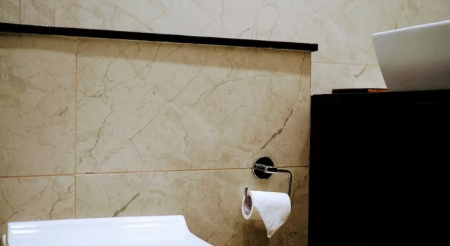 Люкс Transtree at Whitefield | Corporate Stays