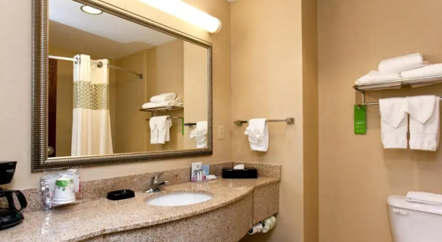 Двухместный номер Premium Hampton Inn Martinsburg South-Inwood