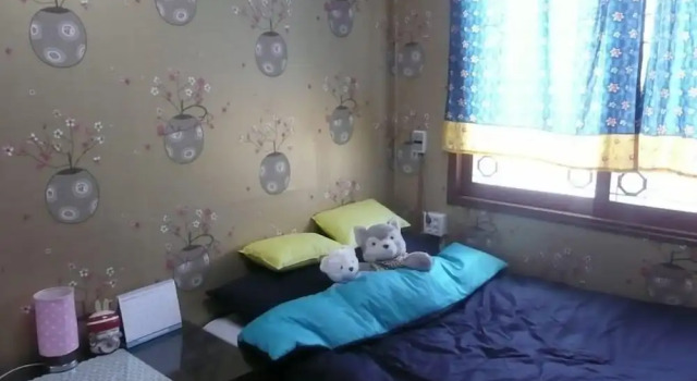 Номер Standard Guesthouse Spring Flower