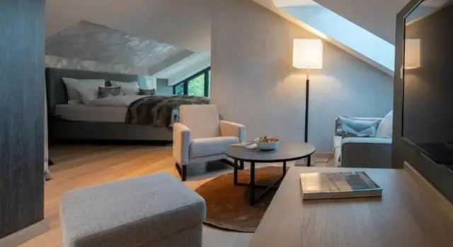 Люкс Standard Essensio Hotel Düsseldorf