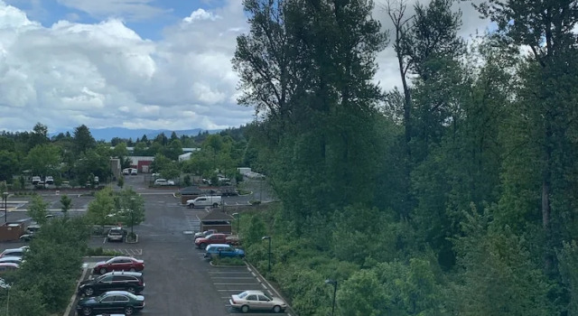 Двухместный люкс Fairfield Inn & Suites by Marriott Eugene East/Springfield