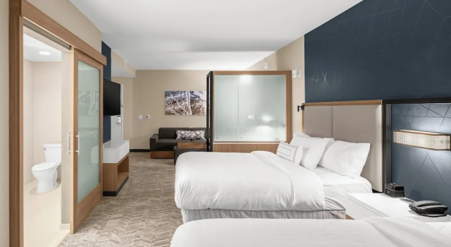 Suite SpringHill Suites by Marriott Jackson