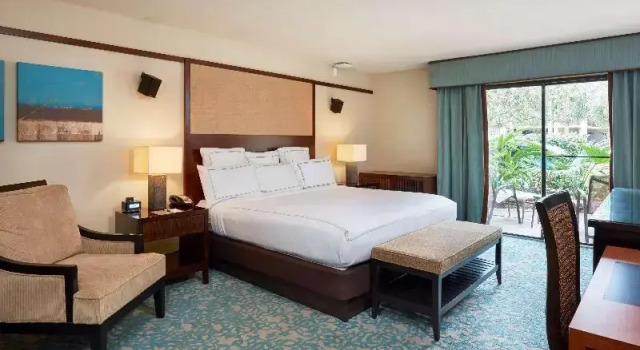 Номер Курорт DoubleTree by Hilton Orlando Theme Park
