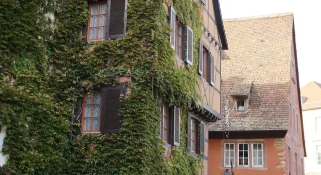 Aux 2 Cigognes, Book Apartment Colmar 