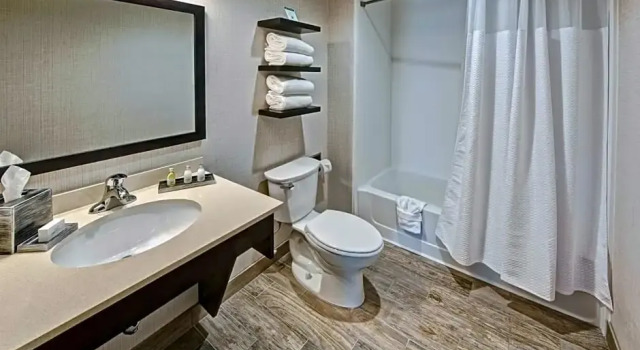 Четырёхместный полулюкс Black Fox Lodge Pigeon Forge, Tapestry Collection by Hilton