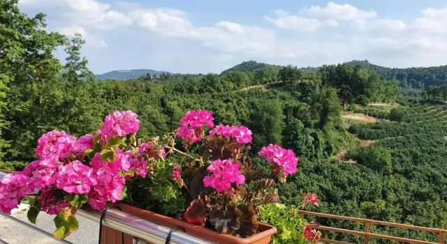 Номер Standard Villa Alta Langa