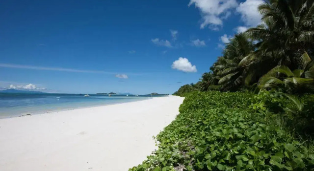 Номер Classic Villas des Alizes Beachfront Suites