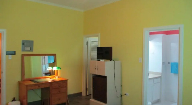 Classic Basement room Harlem B & B