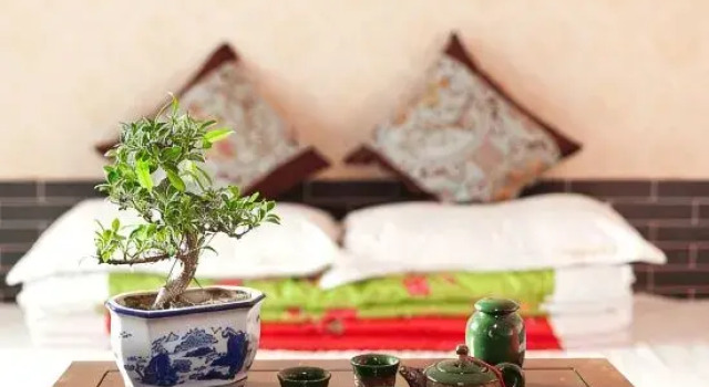 Люкс Deluxe Pingyao Jiaxin Guesthouse