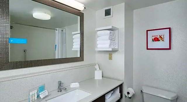 Четырёхместный люкс Hampton Inn & Suites Oxford-Anniston