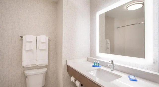 Двухместный номер Standard Holiday Inn Express & Suites Owings Mills-Baltimore Area by IHG