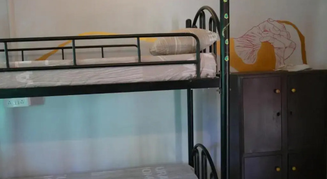 Кровать в общем номере Wonderland Hostel