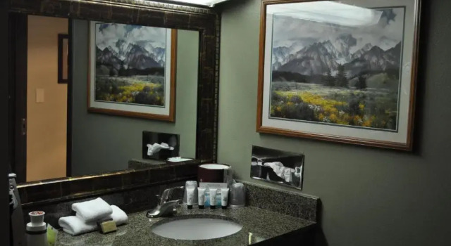 Одноместный номер Standard Seaport Inn and Suites