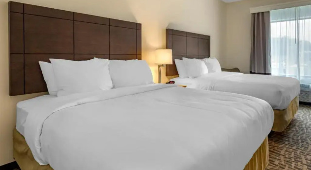 Четырёхместный номер Standard Comfort Inn & Suites Pittsburgh-Northshore