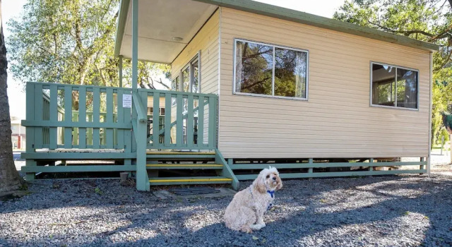 Номер Standard Warburton Holiday Park