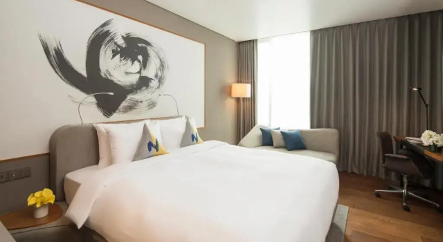 Двухместный номер Superior Novotel Ambassador Seoul Dongdaemun Hotels & Residences