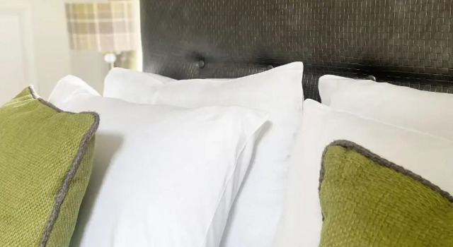 Deluxe cameră Horsley Lodge