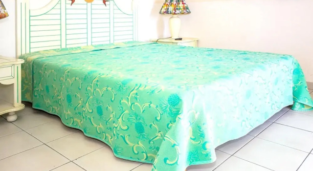 Apartment Rue du marronage III
