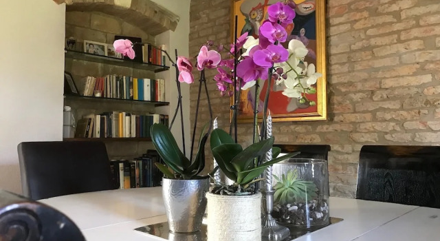 B&B Tenuta della Duchessa, Book Bed and Breakfast Porto Viro Po Delta
