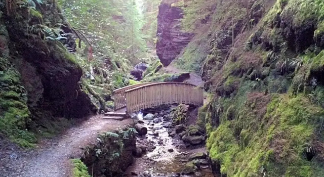 Pucks Glen Lodges - Cosy Lodges in a Woodland Setting, Забронировать Отель Данун 