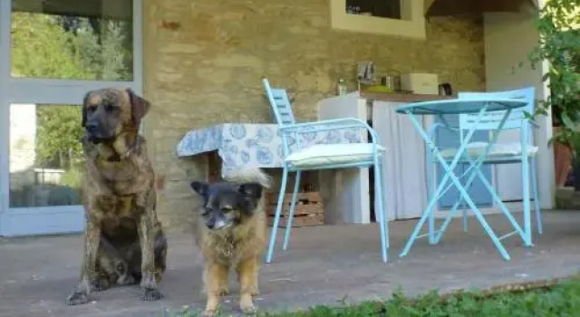 Cosy Chianti Retreat, Buchen Sie Pension Greve in Chianti Chianti